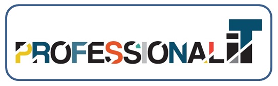 Professional IT (MK) Ltd